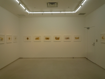 P1130713.JPG