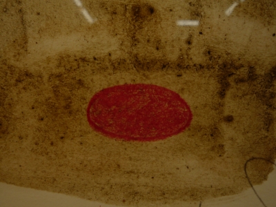 P1130721.JPG