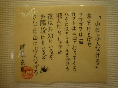P1380454.JPG