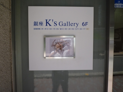 P1380653.JPG