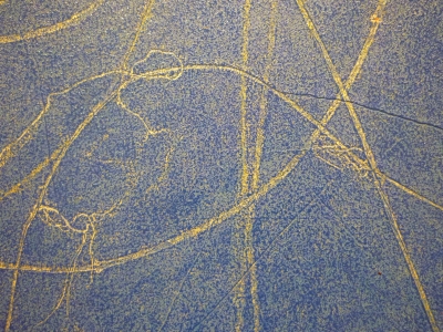 P1380675.JPG
