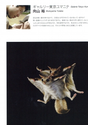 Scan0011.jpg