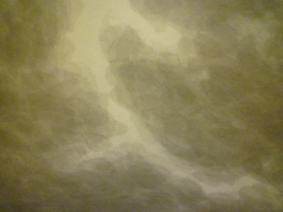 P1410260.JPG
