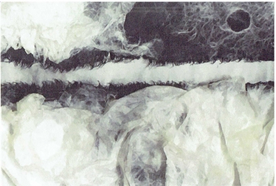 Scan0030.jpg