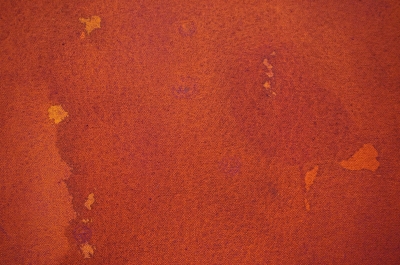 DSC01383.JPG