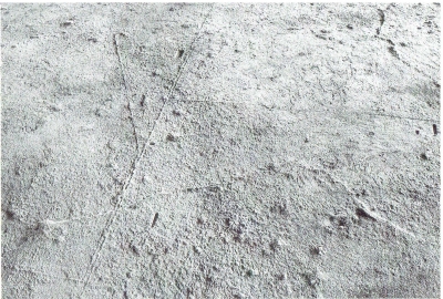Scan0025.jpg
