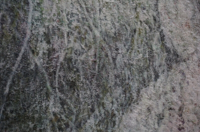 DSC03697.JPG