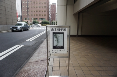 DSC05709.JPG
