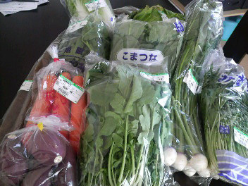 野菜お取り寄せ100402