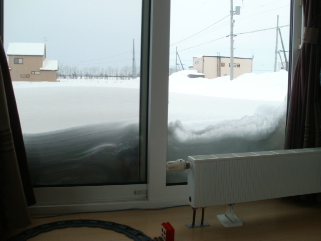 1月14日 家の庭