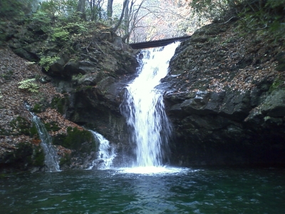 PAP_0223.JPG