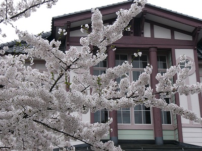 P1010591.JPG
