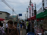 P1010686.JPG