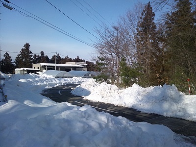 DSC_1011.JPG