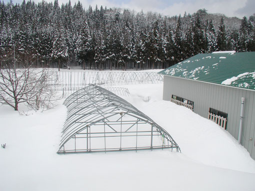 2012/2/26の雪