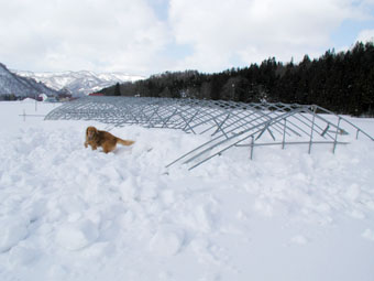 2005/3/6の雪