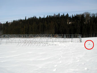 2006/2/21の雪