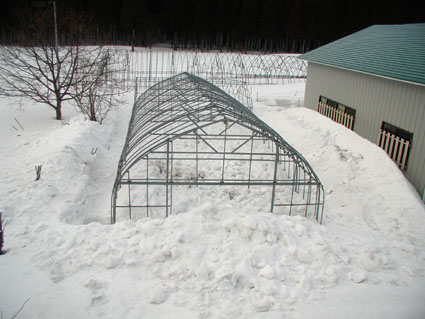 雪掘り後3.18