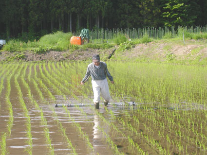 チェーン除草2012