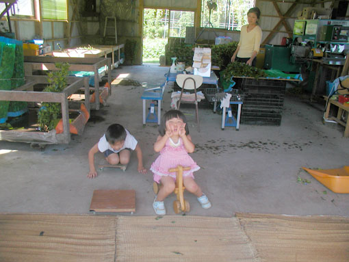 2012りんどう彼岸1
