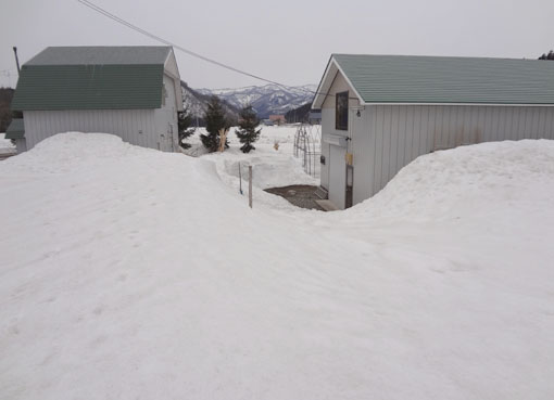 3月31日の残雪