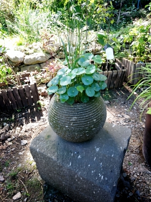 花鉢丸型