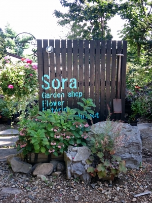 soraさん正面