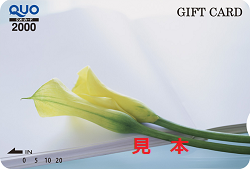 金券 画像 QUOカード €0 イエローカラー
