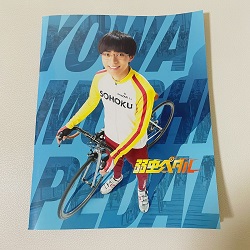ジャニーズ 画像 永瀬廉 King&Prince 映画 弱虫ペダル パンフレット 美品
