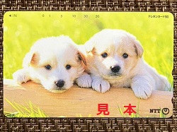 金券 画像 テレホンカード 50度数 子犬 未使用品