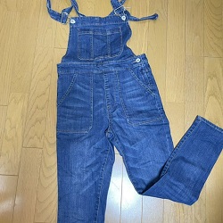 古着 画像 オーバーオール デニム ブルー STYLEBLACK フリーサイズ レディース 美品