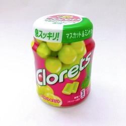 お菓子 画像 ボトルガム Clorets クロレッツ マスカットミント キシルトール配合 無果汁 シュガーレス モンデリーズジャパン 45%off