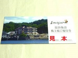 株主優待 画像 飯田グループホールディングス 江ノ島アイランドスパ Enospa 優待券 有効期限あり