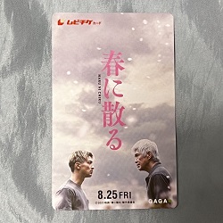 金券 画像 ムビチケカード 春に散る 佐藤浩市 横浜流星