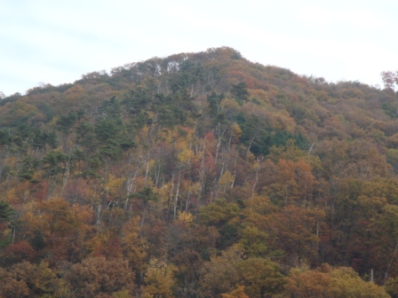 yama