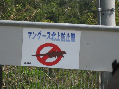 マングース柵