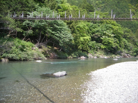 漁協裏の釣り橋下