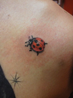 201307221849000.jpg