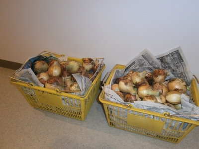 P5240041.JPG