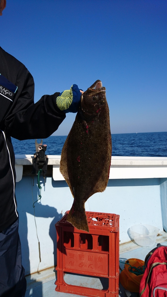 DSC_0179.JPG