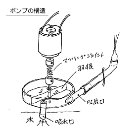 踊る噴水