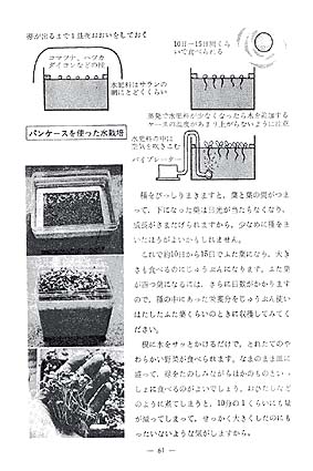 卓上菜園02