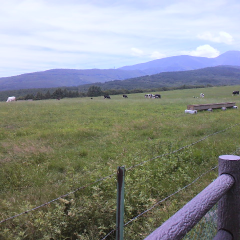 2013071212050000.jpg