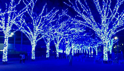 代々木公園ケヤキ並木「青の洞窟 SHIBUYA」イルミネーション　テスト点灯