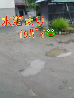 20070622_41731.jpg