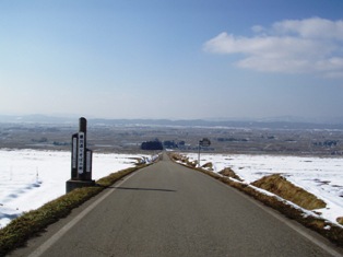 雪が解けています。