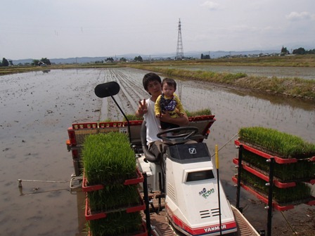 2013パパと田植え
