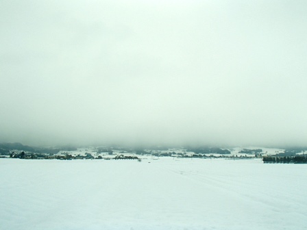 140101田んぼ.JPG