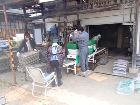 2015種蒔き.JPG