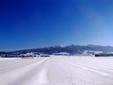 2015田んぼ1月.JPG